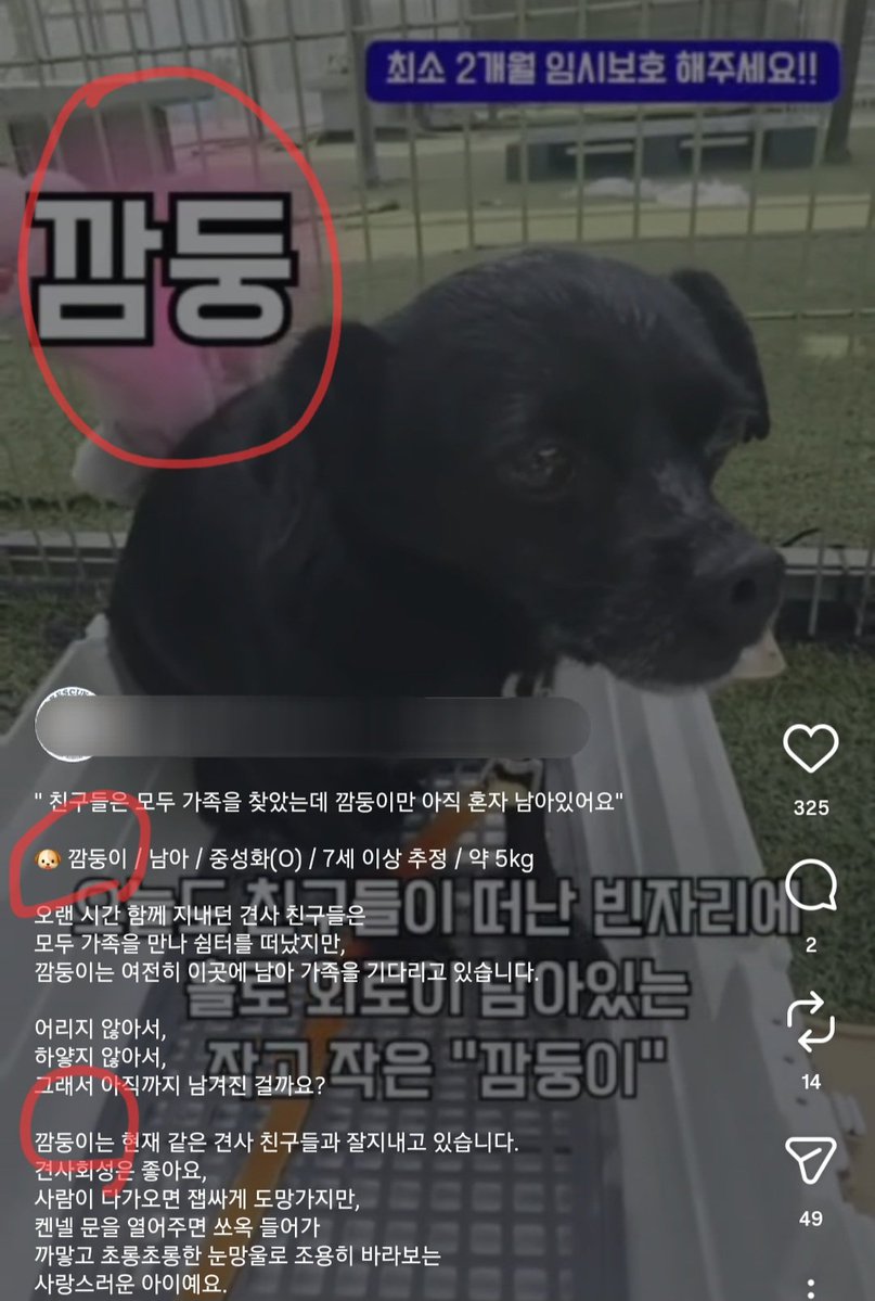 묘이 tweet media