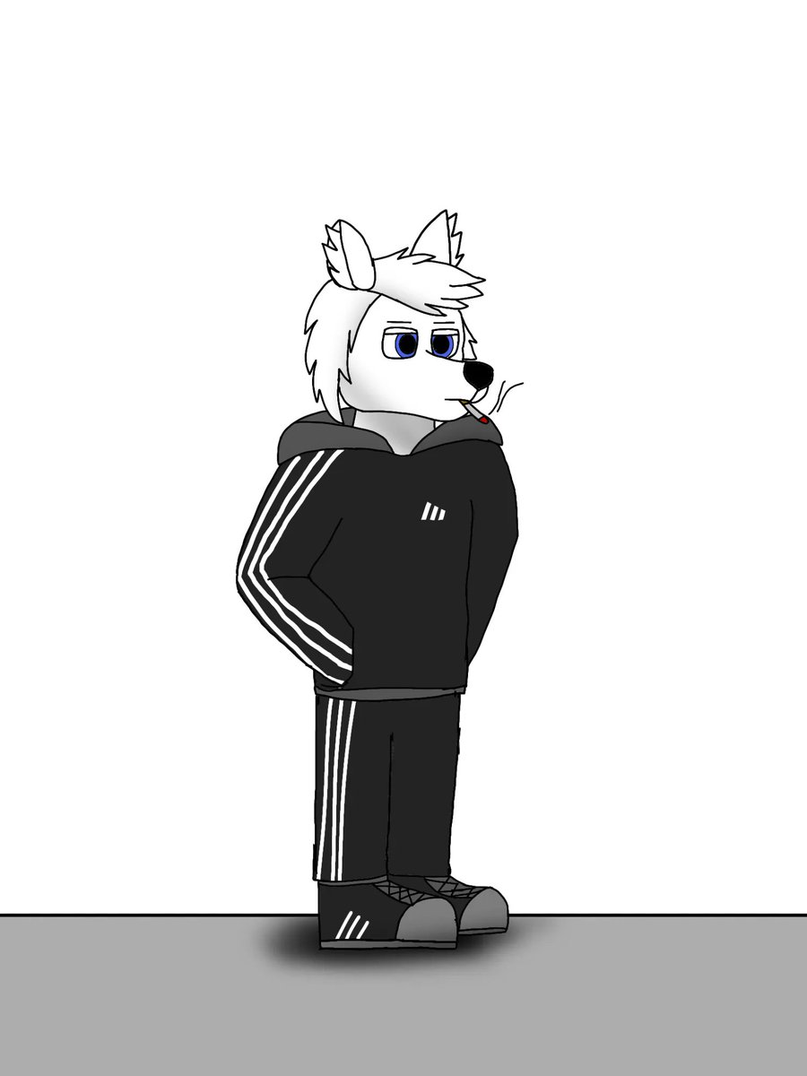 dewa the wolf tweet media