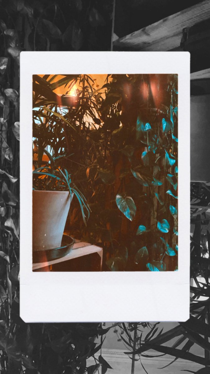 atomblondy's tweet photo. Planty flexi Tuesday #flexing #arielist #spagat https://t.co/6SojV9n70W