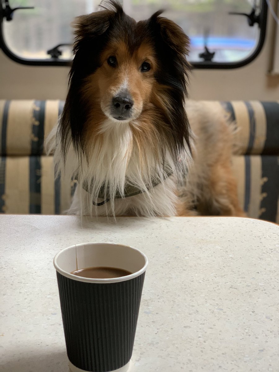 淹れてもらった今年1番美味いコーヒー飲んでる☕️