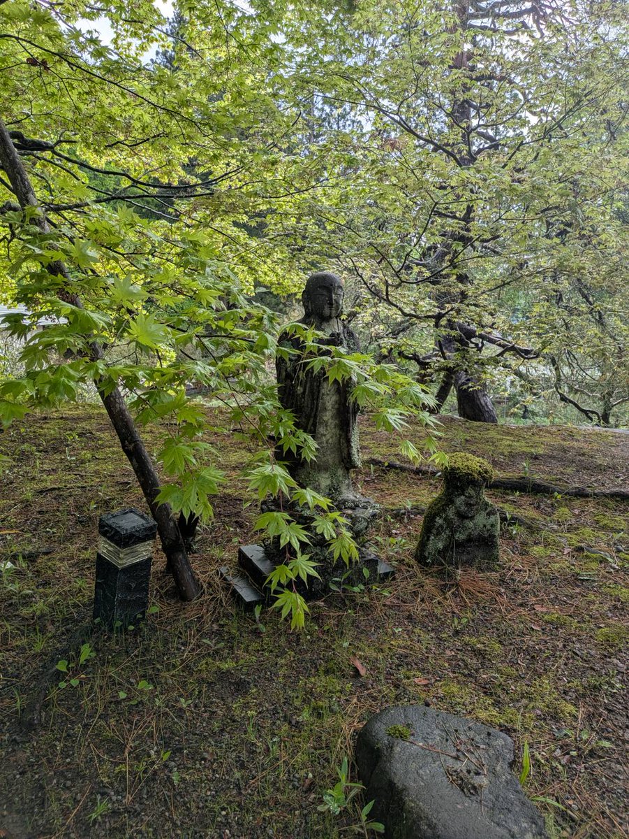 北向観音・常楽寺 tweet media
