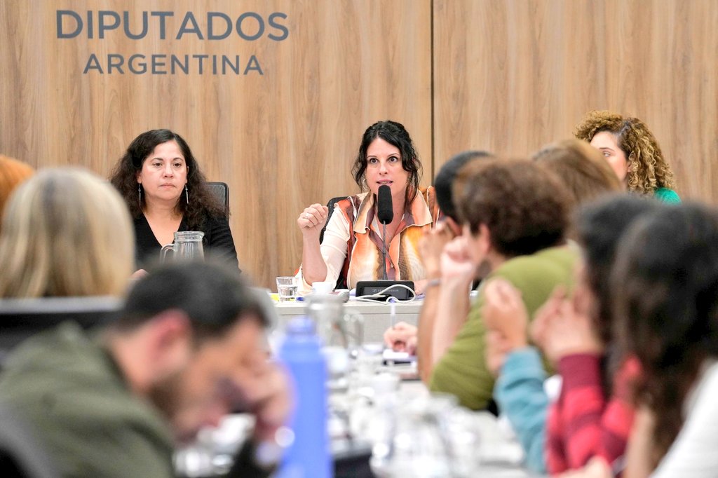 La cultura es un derecho humano, un sector estratégico y un componente central de la soberanía. El Estado debe intervenir para evitar la concentración,  sostener la producción nacional y garantizar el acceso equitativo. En la Comisión de Cultura de Diputados, representantes del