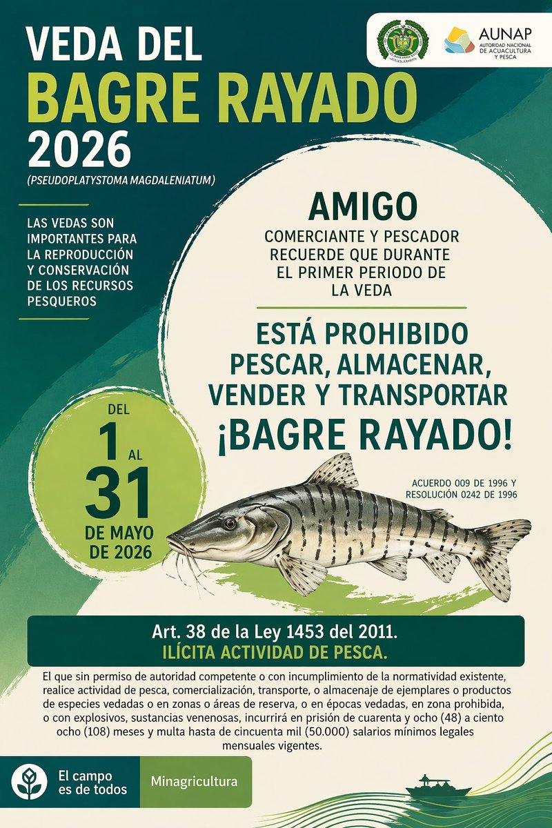 Alcaldia de Ambalema Tolima tweet media