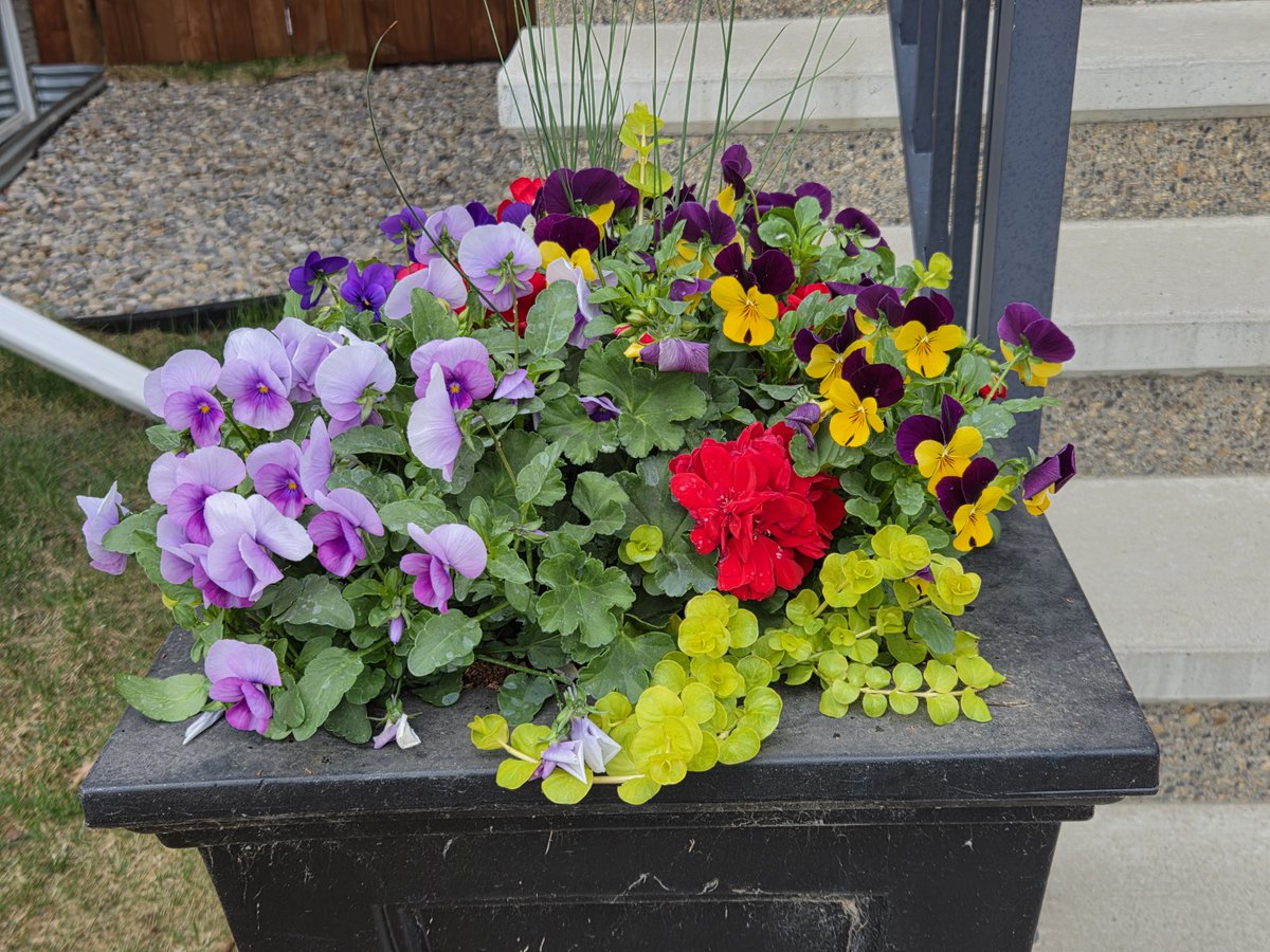WalkingCalgary's tweet image. Images from #Cranston in southeast #Calgary

#yyc