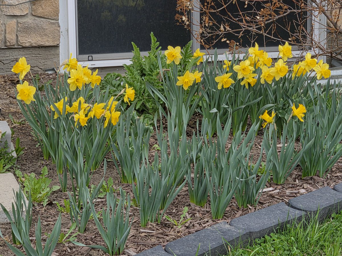 WalkingCalgary's tweet image. Images from #Cranston in southeast #Calgary

#yyc