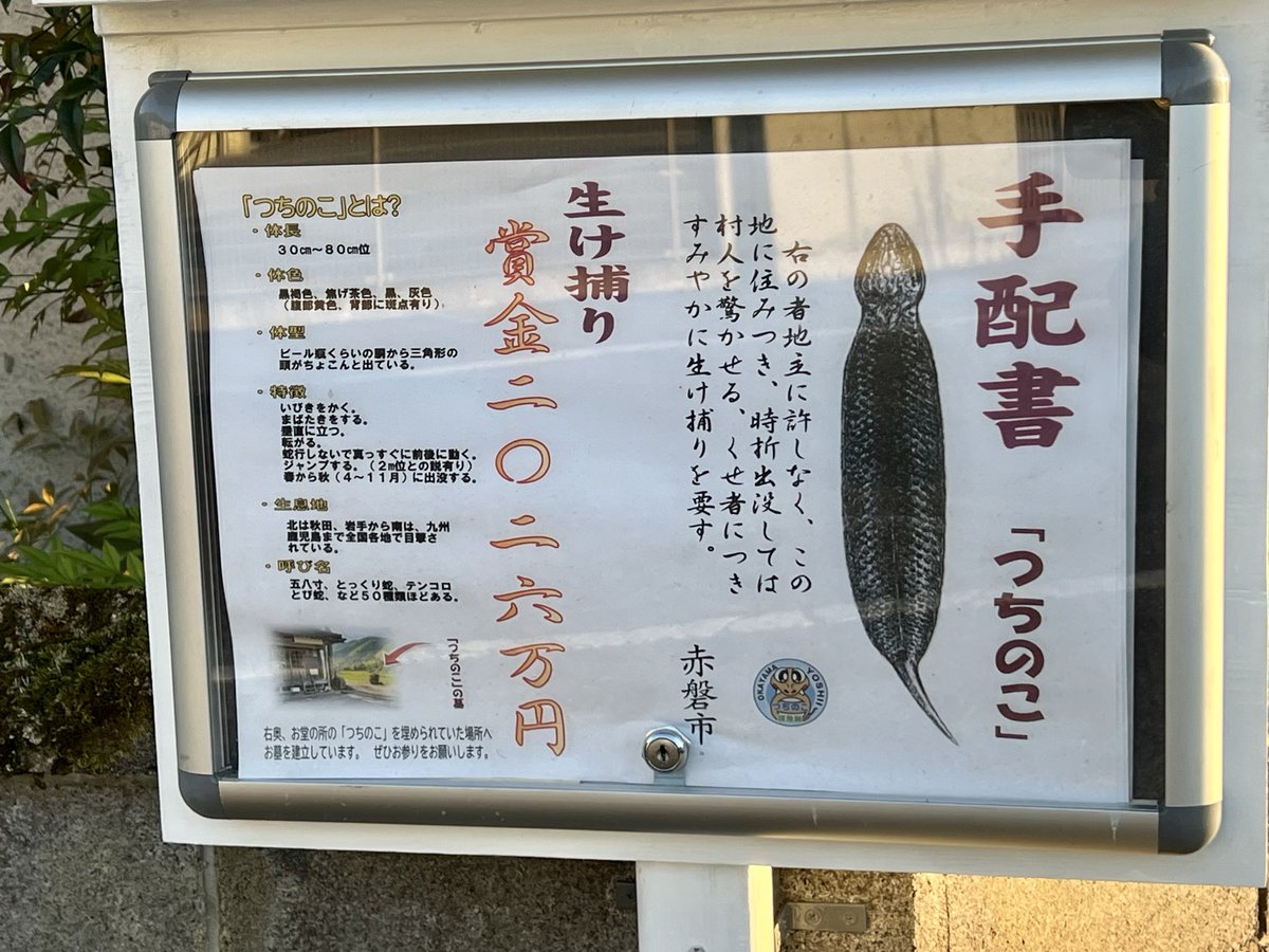 おはようございます🤗☀️⤴︎⤴︎✨ 昨日の帰り道にぷらっと寄り道で