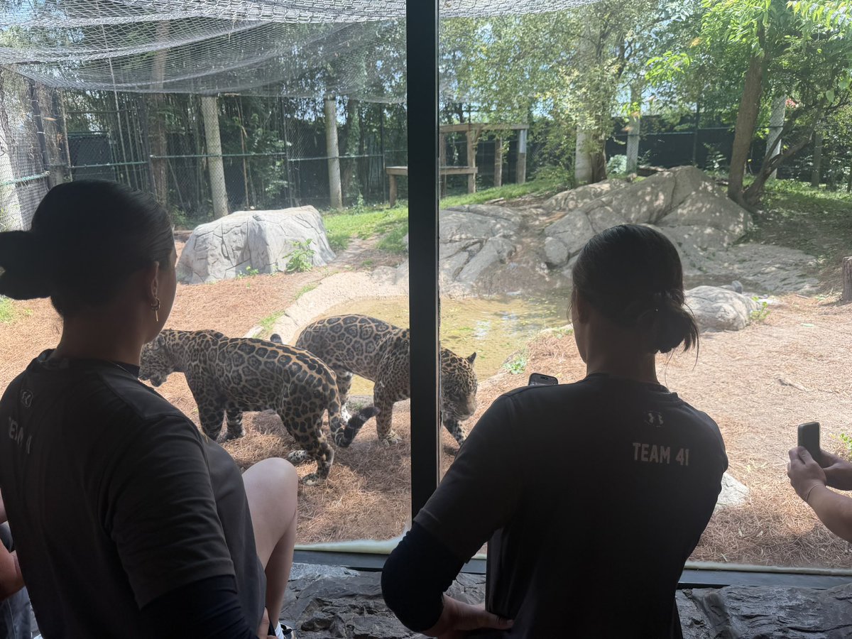 UNCGSoftball's tweet photo. Out of the dugout, into the wild 🐾🥎
#letsgoG https://t.co/9mltCTYnC8