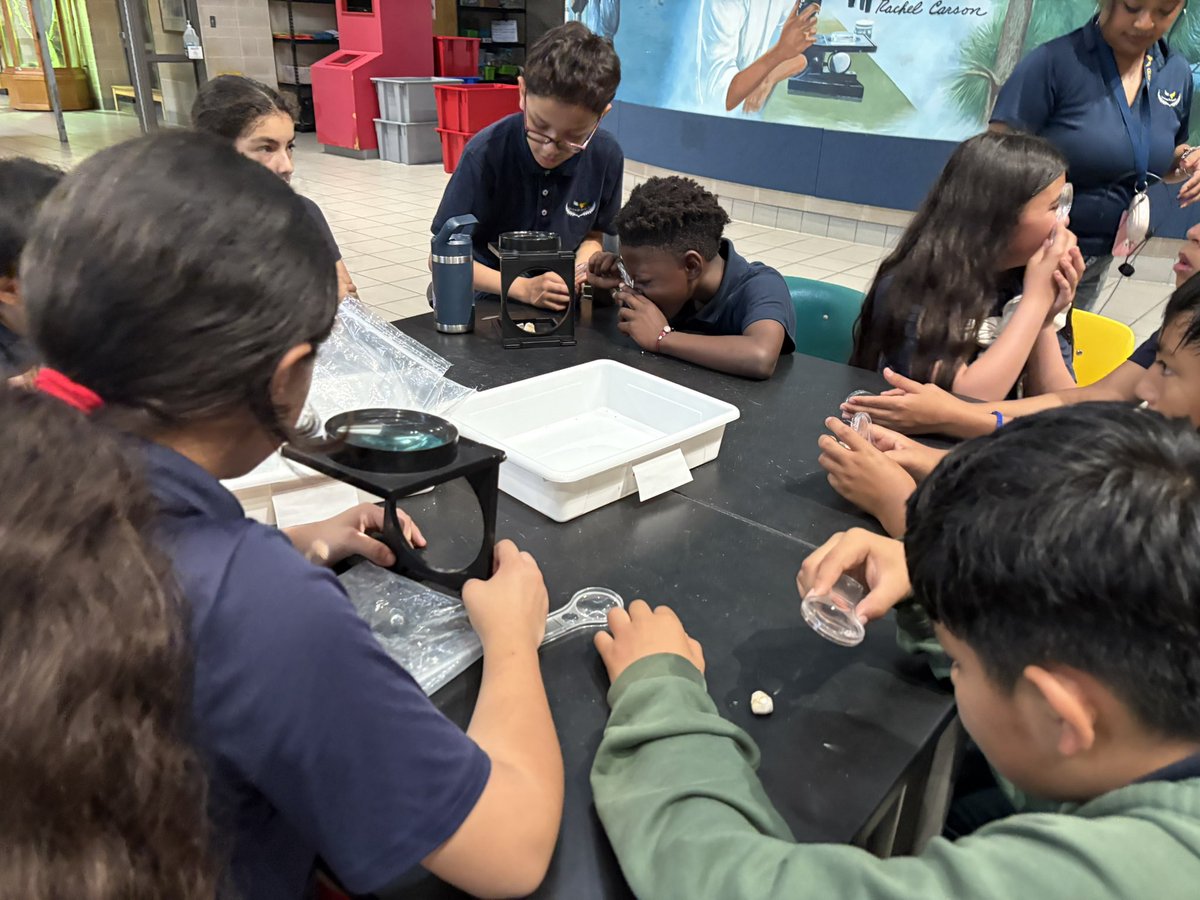 disdeec's tweet photo. 5th graders from @LDZEagles discovered how sedimentary rocks form. Young geologists explored the processes of deposition, compaction, and cementation that create sedimentary rock.
 @StellaKastl @AngieGaylord @Dallasacademics https://t.co/AAAZYEhOH4