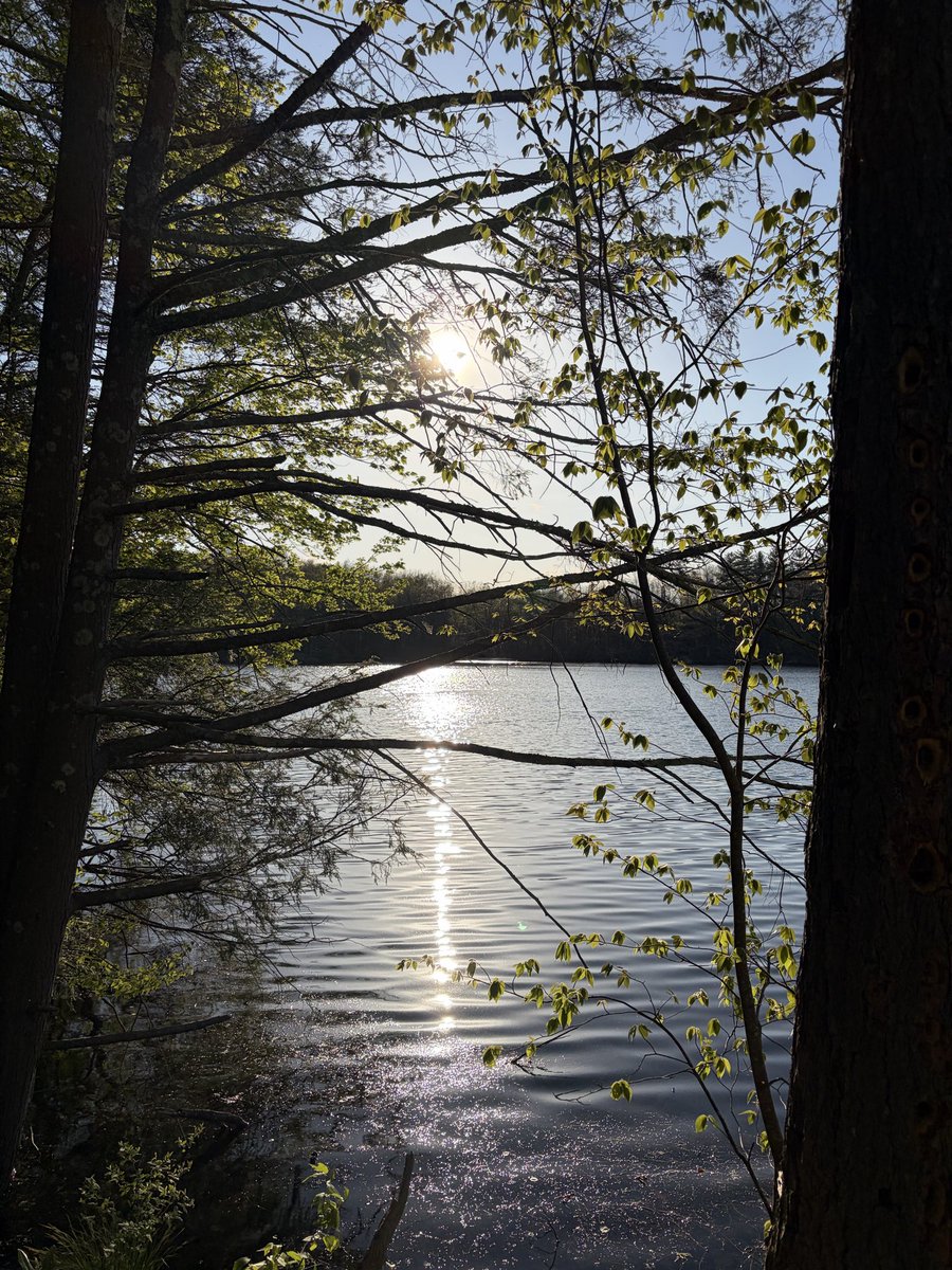 silvrgoat06's tweet photo. A few from yesterday at Hidden Lake…Poconos, PA 🤐 🤫🤣 #DelawareRiver #Poconos #Lake #DelawareWaterGap https://t.co/AF2fhAYyRX