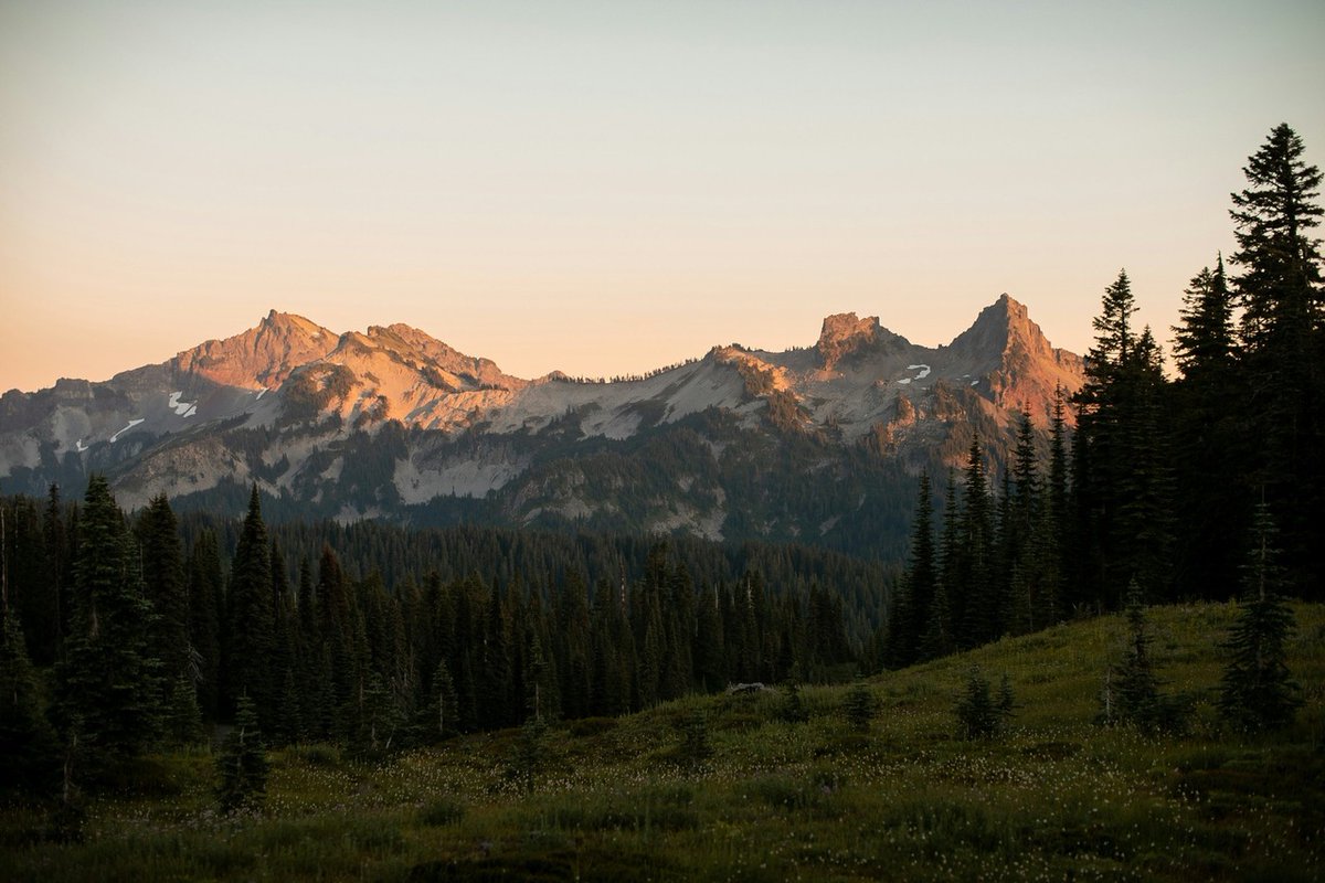 Peaks kissed by the last light 🌄

📸 Emma Swoboda
📍Mount Rainier, Washington, USA