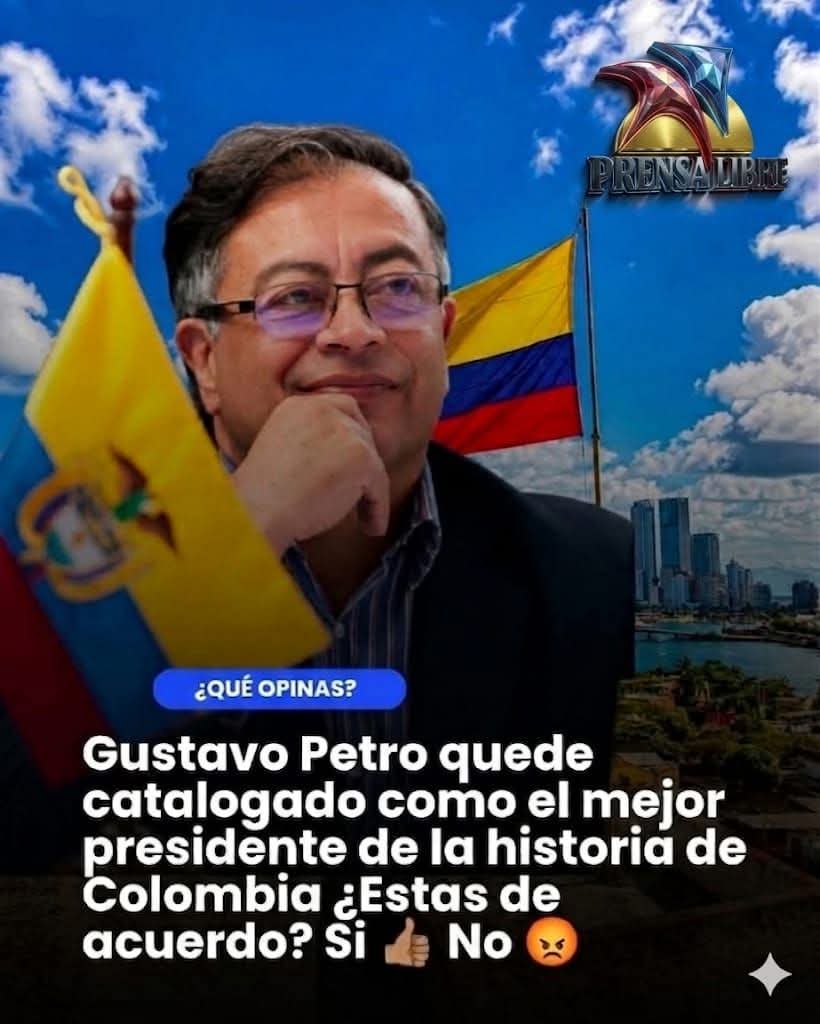 guido rubian bravo tweet media
