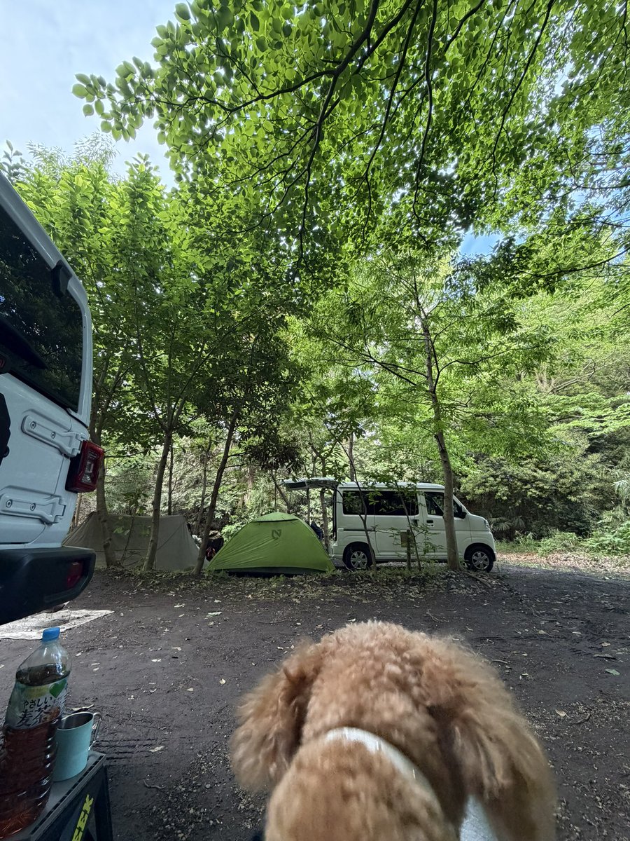 Assist57916030's tweet photo. いやされたなり https://t.co/BRBnirwEVD