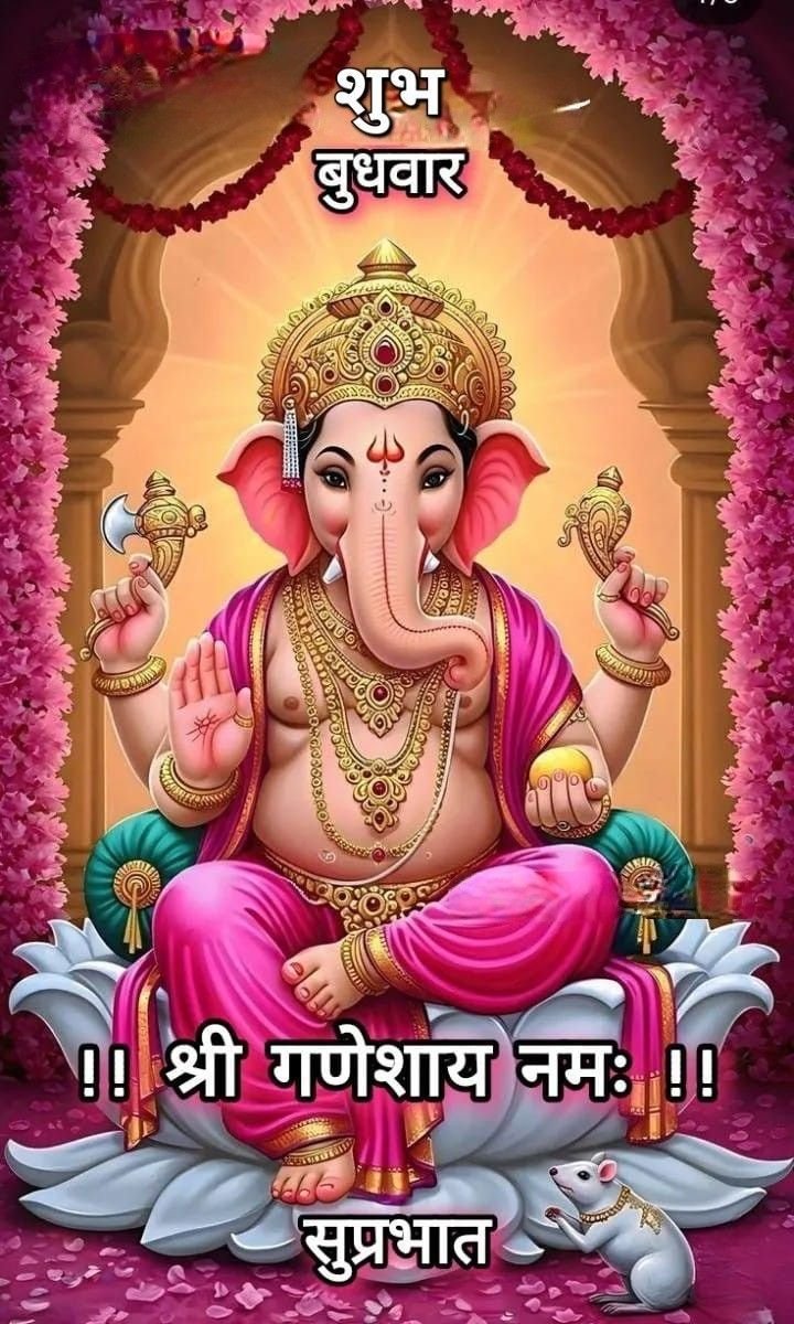सिंह साहिबा tweet media
