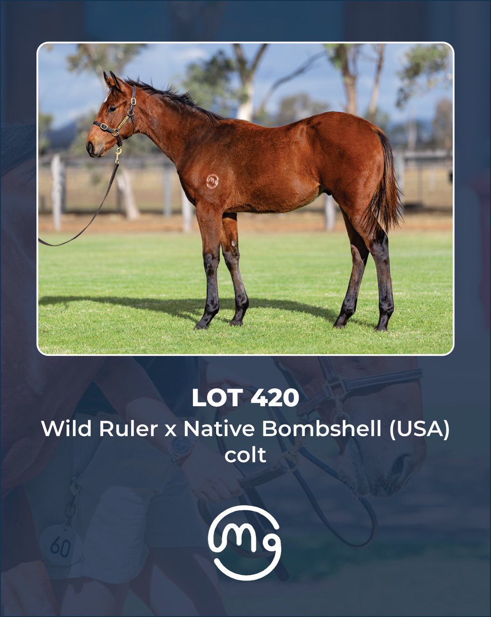 Mullaglass Stud tweet media