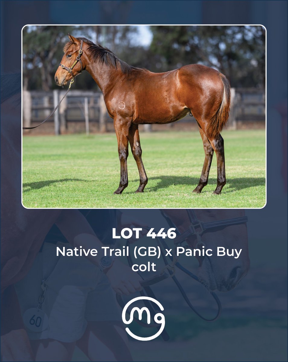 Mullaglass Stud tweet media