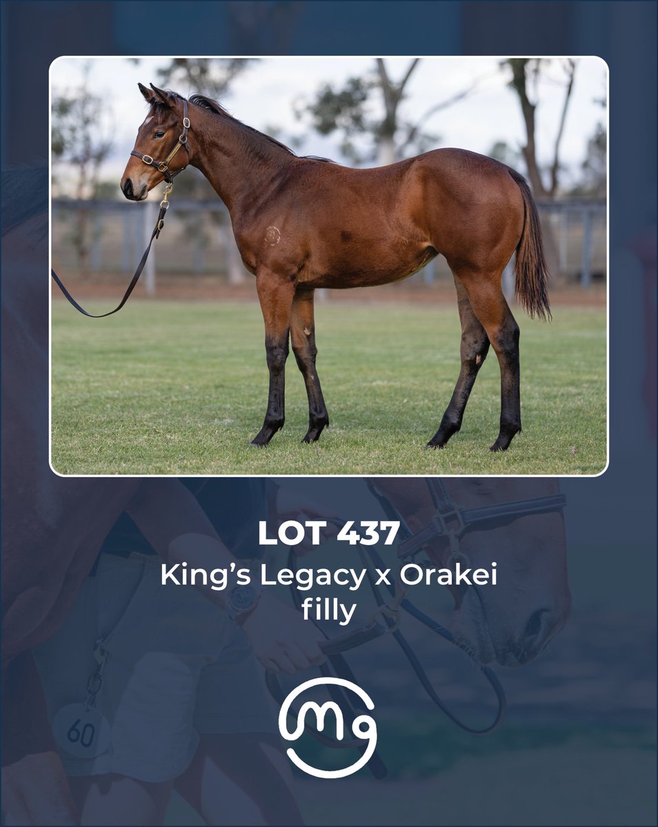 Mullaglass Stud tweet media