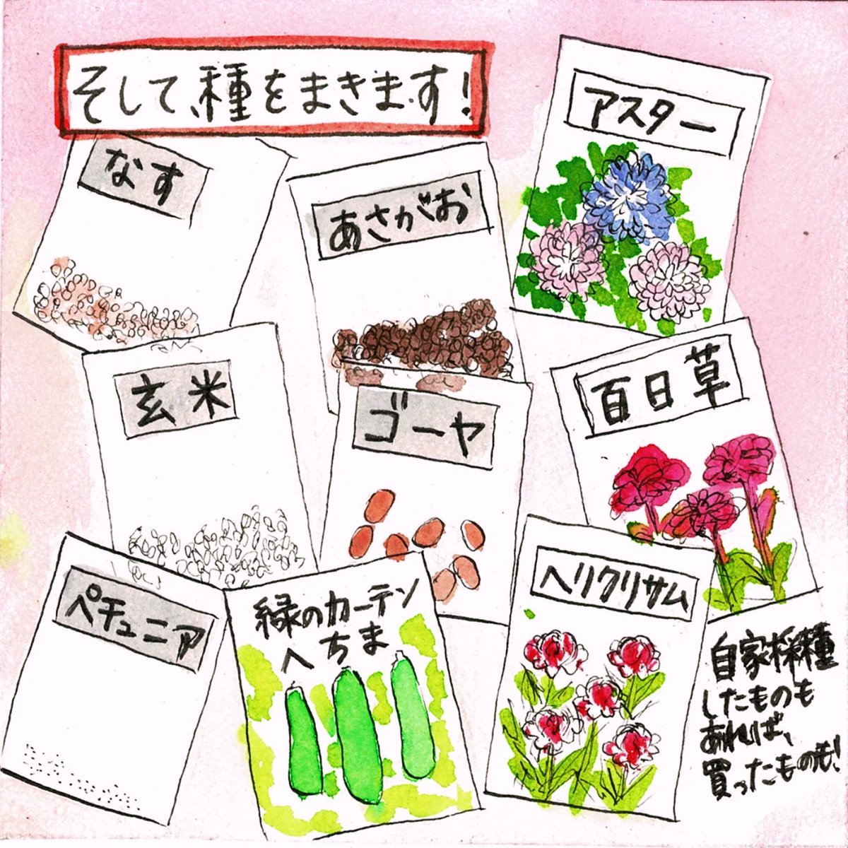 junochka174's tweet photo. 田舎暮らしマンガ
「4月下旬の種まき」(1/2)

先日、種まきをしました。
満月の5日前から種をまくと、芽の出が良いような気がしています！
今回も既に芽が出ています✨ https://t.co/66yBbKEnKQ