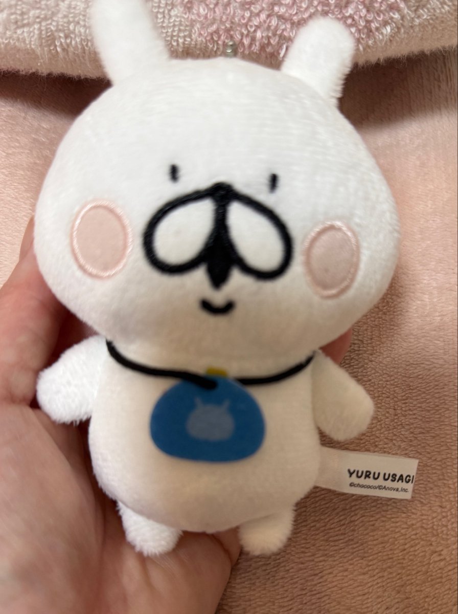 元金髪ロリータ京都のあいこ tweet media