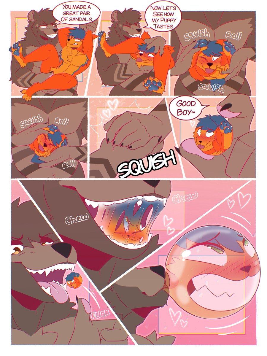 SquishyDingo tweet media