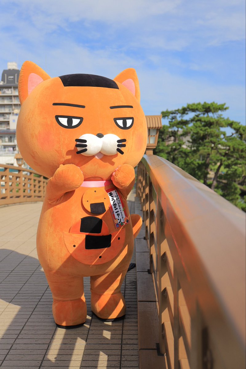 にゃん おはよニャーンฅ(ↀᴥↀ)ฅ🍘✨ 今日もステキな1日になりますように