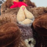 Photo by StuffMyStuffies 🧸 (@StuffMyStuffies)