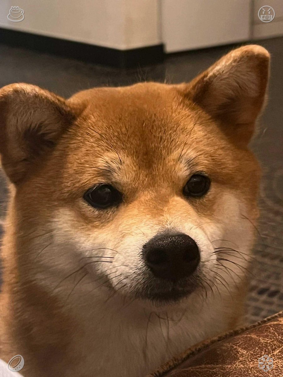kei-li tweet media