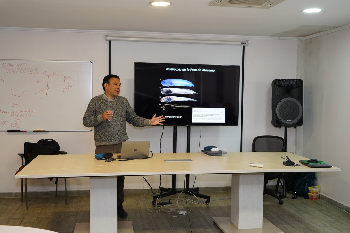 imochile's tweet photo. Dr. Osvaldo Ulloa dicta charla sobre la Fosa de Atacama en Taller de #IFOP 🌊
Fue invitado por el Instituto de Fomento Pesquero en el contexto de la realización del taller especializado sobre recursos bentónicos, organizado por la Dirección Regional de IFOP Talcahuano.
📷IFOP. https://t.co/BpX2IwkxNe