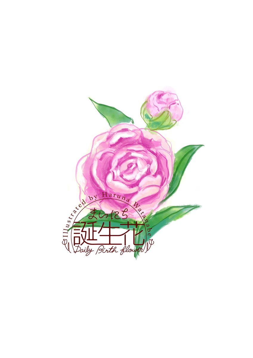 「5月6日 芍薬 花言葉 思いやり #1日1絵 #まいにち誕生花」|渡邊 春菜のイラスト