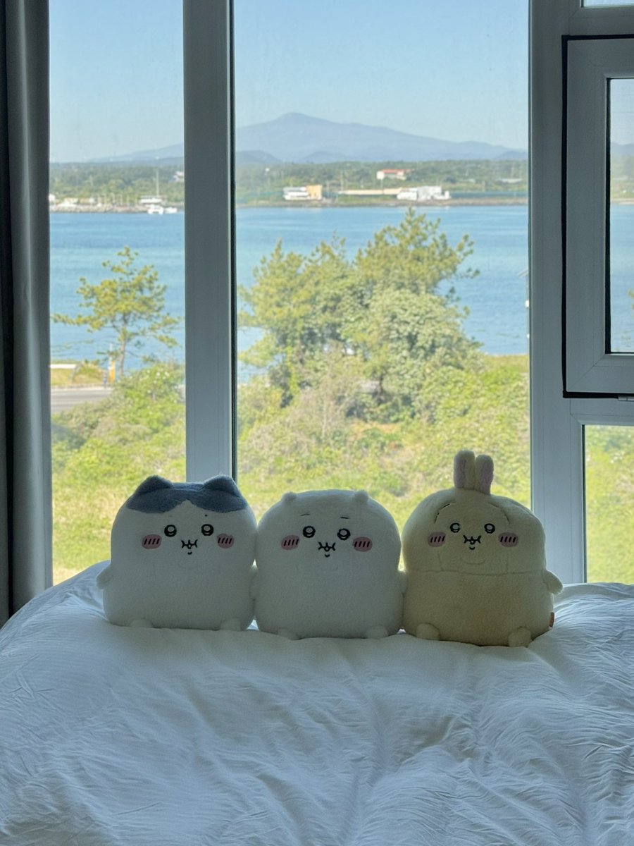 ☀️좋은 아침
잘 잤어요?