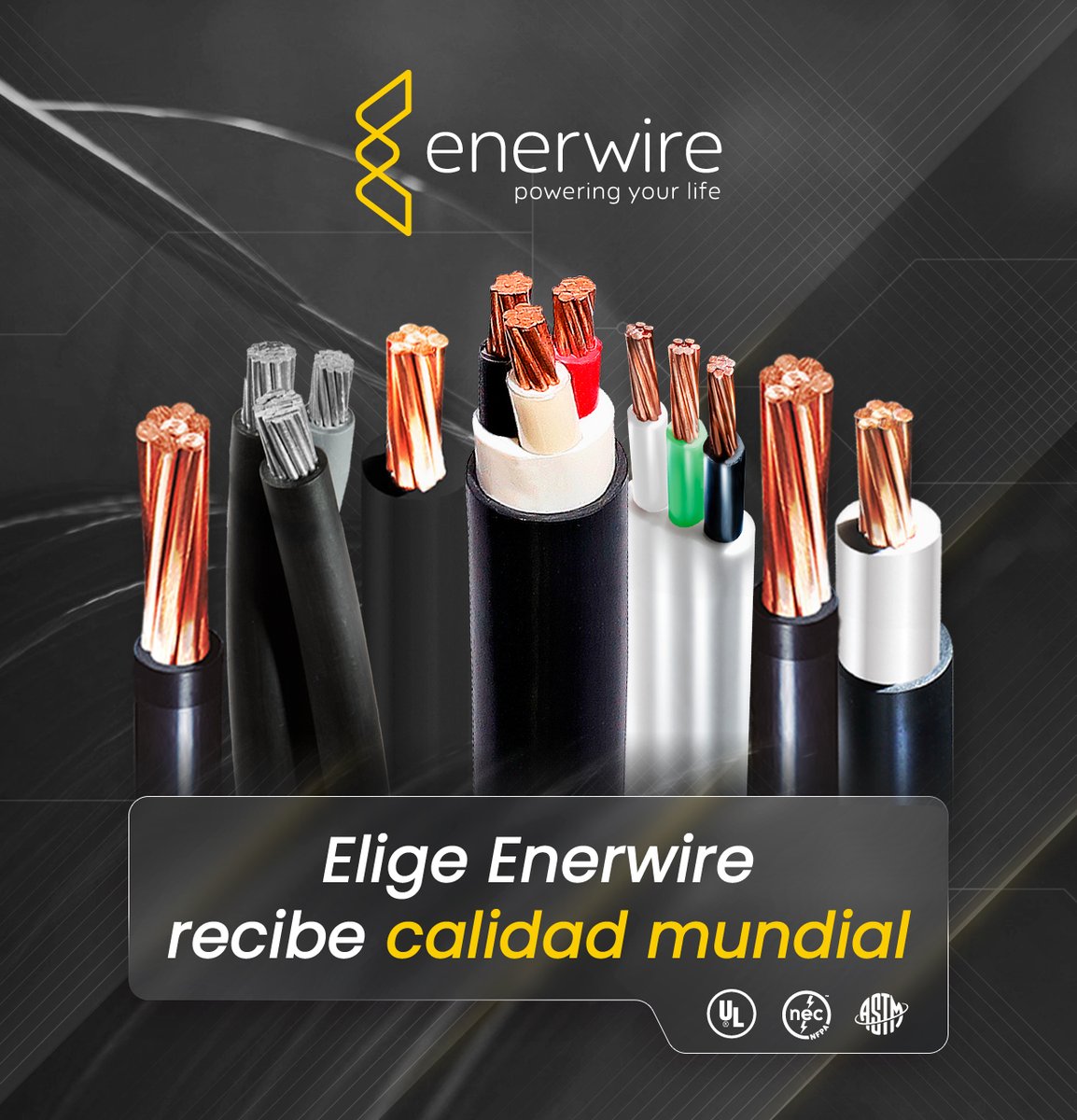 enerwire tweet media