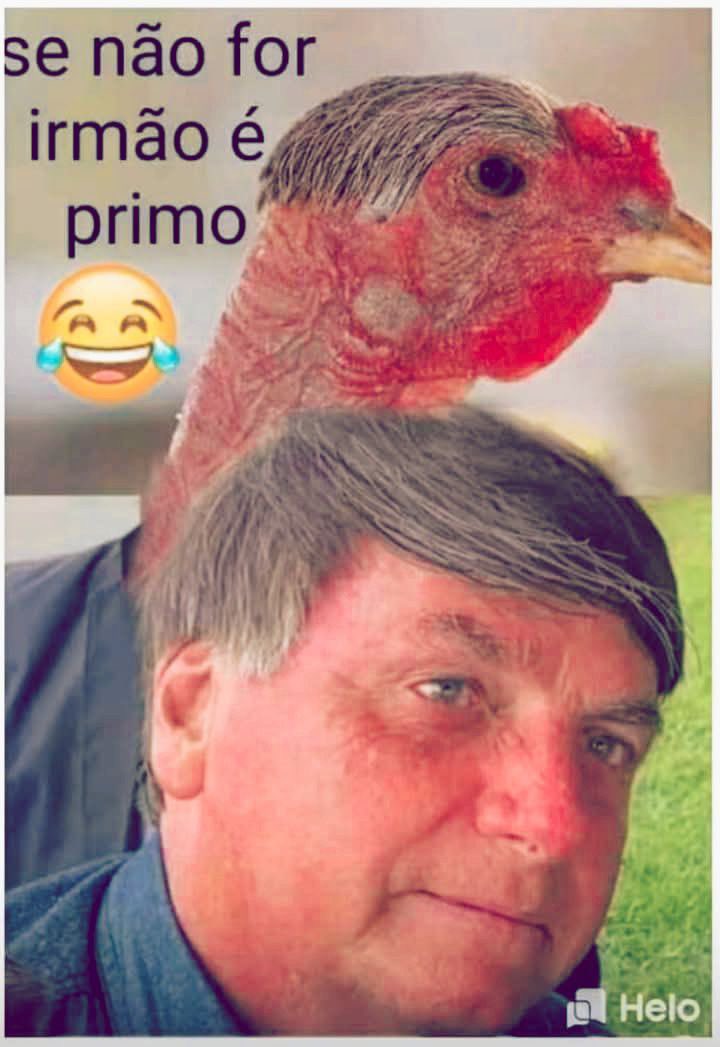Só pode ser, kkkkkkkkkkkkk
nunca vi tanta semelhança, apesar que o coitado do galo nunca fez mal a ninguém, quanto ao bolsolixo né…😂😂