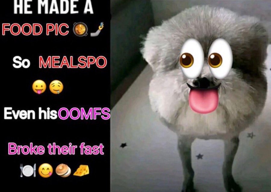 al𓏲𝄢🪲 tweet media