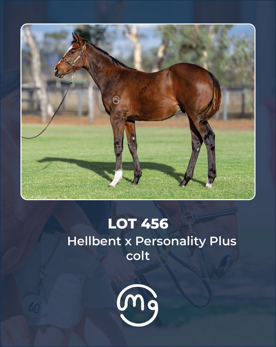 Mullaglass Stud tweet media