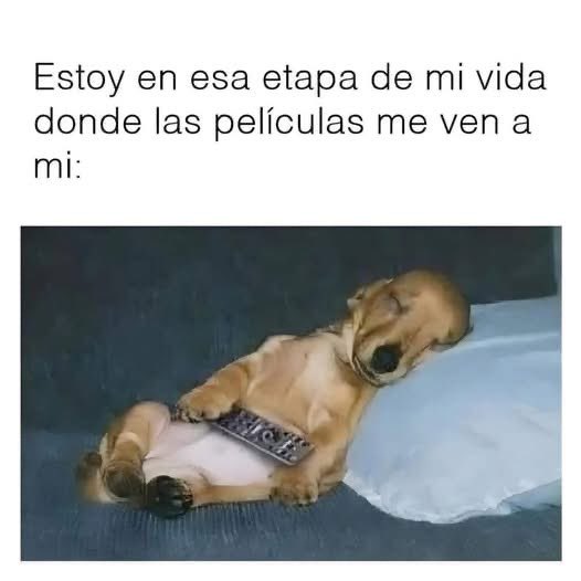 El Meme tweet media