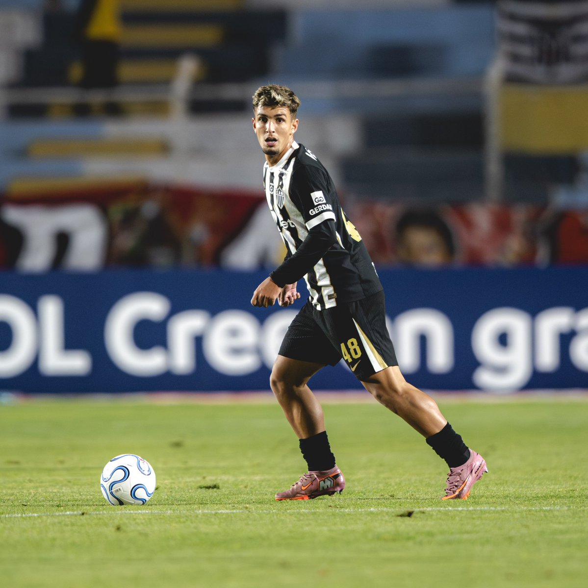GALO tweet media