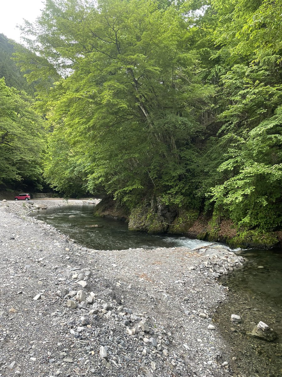 トンちゃん🌈🎣🐟🌈🌸🎣🫧𓆩♥️𓆪🌹🗝️ tweet media