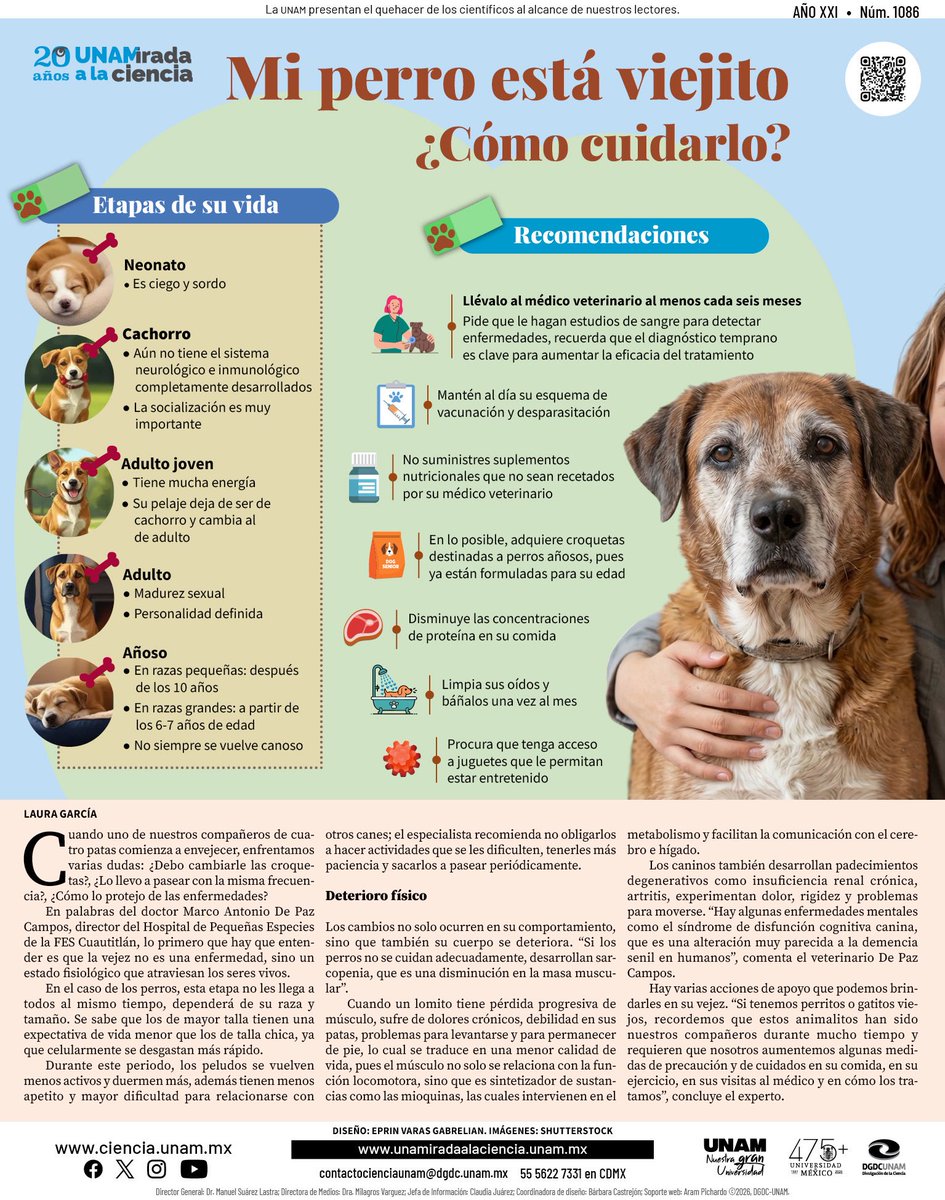 Ciencia UNAM tweet media
