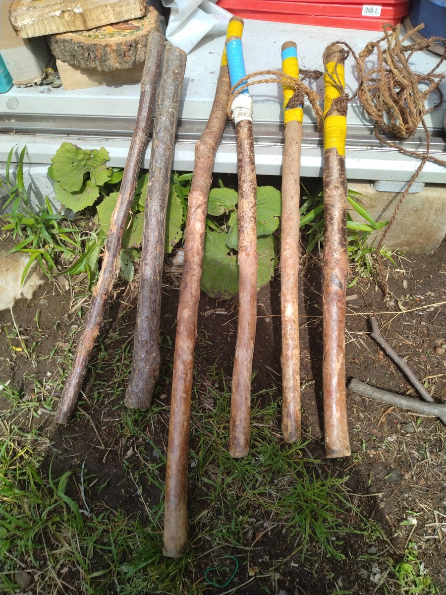 seijo3core's tweet photo. 竹の枝打ち棒と粗朶用シュロ縄の確認です。この後、枝打ち棒には手首に通す紐等を付けます。シュロ縄は80cmぐらいに切っておきます。事前に道具の点検や準備をすると作業がスムーズです。 https://t.co/kzAJtXvsDq