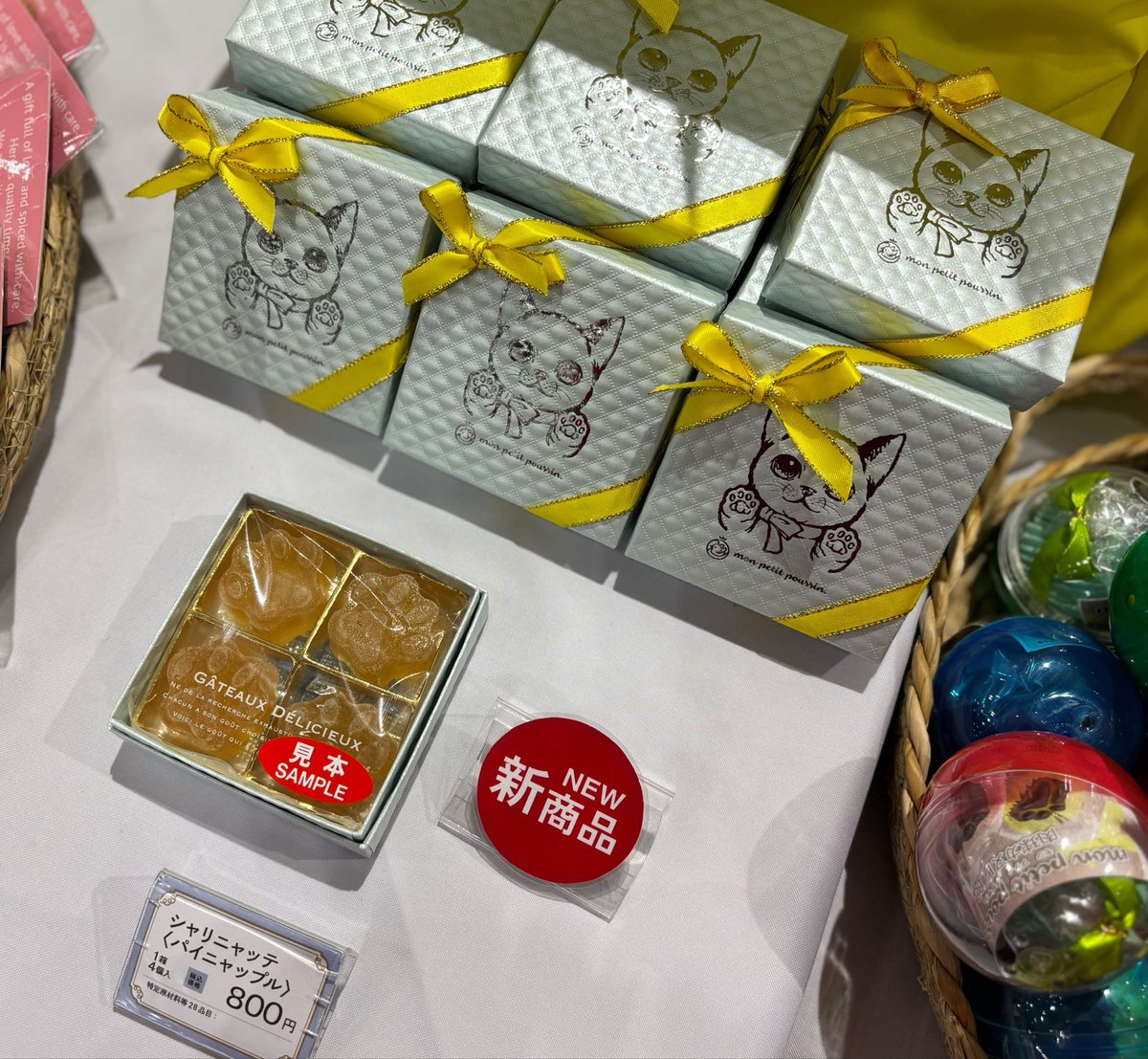 赤ブーブー通信社 (@AKABOO_OFFICIAL) / Posts / X 赤ブーブー通信社 (@AKABOO_OFFICIAL) / Posts / X