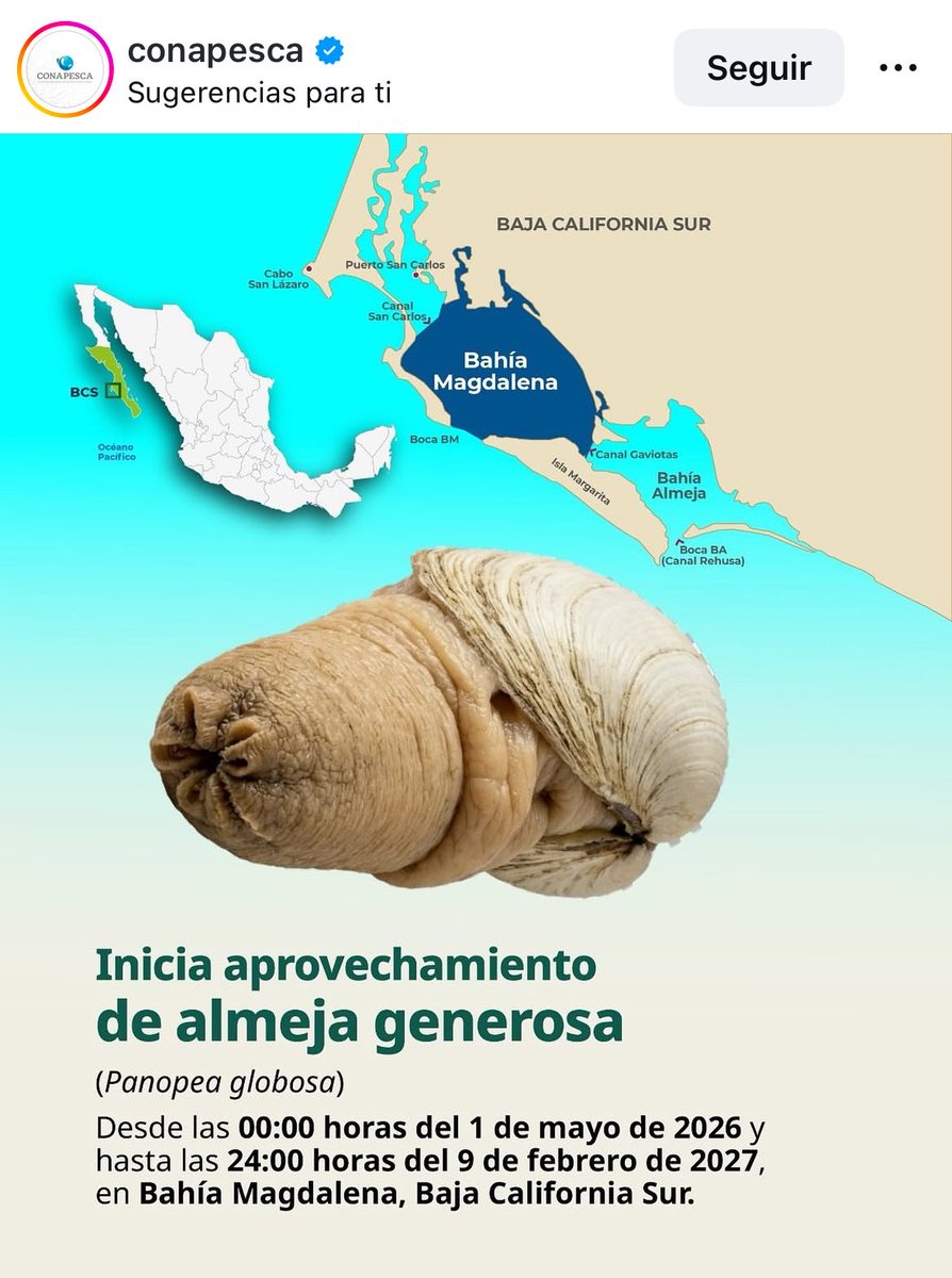 Esta Mala La Cosa tweet media