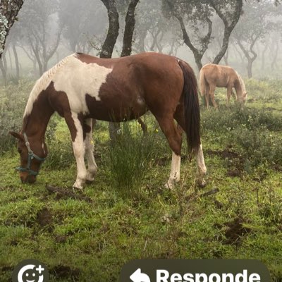 natividadsg's tweet photo. #NuevaFotoDePerfil https://t.co/f3IOe1P4EH