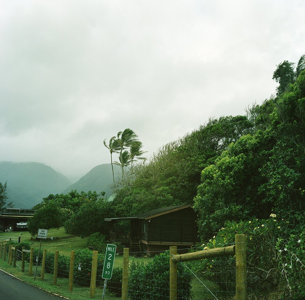 inao_toshiaki's tweet image. WAIKIKI PHOTOGRAPH

big island, hawaii
rolleiflex 2.8f planar 80mm

island breeze,
shifting light.

#hawaii #yousawscenes #rolleiflex #filmphotography #waikiki_inc_photograph