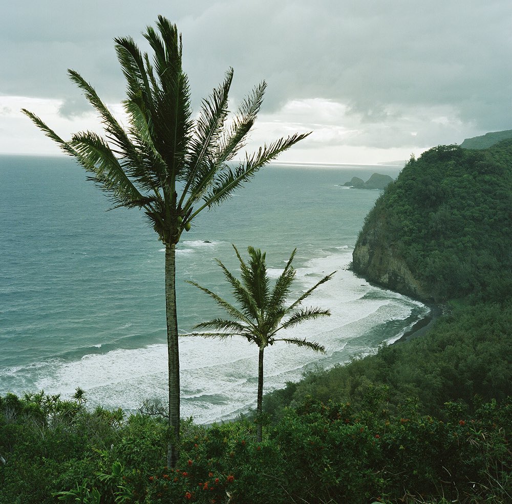 inao_toshiaki's tweet image. WAIKIKI PHOTOGRAPH

big island, hawaii
rolleiflex 2.8f planar 80mm

island breeze,
shifting light.

#hawaii #yousawscenes #rolleiflex #filmphotography #waikiki_inc_photograph