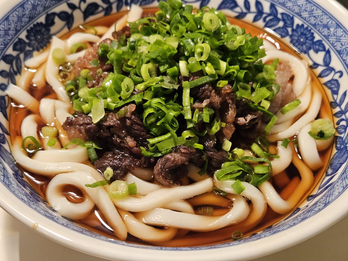おうどんページ 肉うどんを作ってみた(昨日の写真)