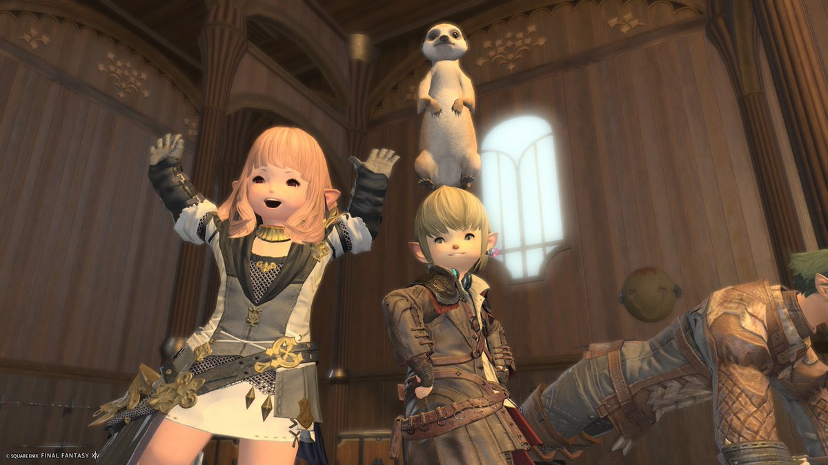 marimari55cats2's tweet photo. FF14用のアカウント作りました♪
のんびりストーリー進めていきます😺
#FF14初心者 https://t.co/iQatxAVKd1