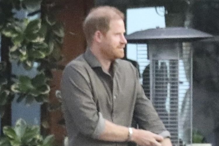 Royal Thoughts - Parody and Commentary tweet media