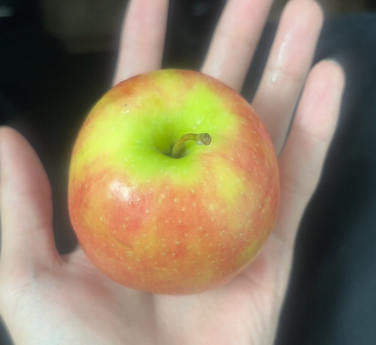 Day 54 of posting an apple on #appletwt