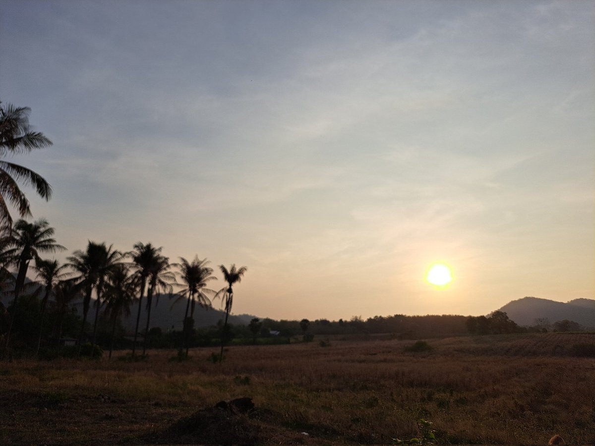 Supot Waewjapo tweet media