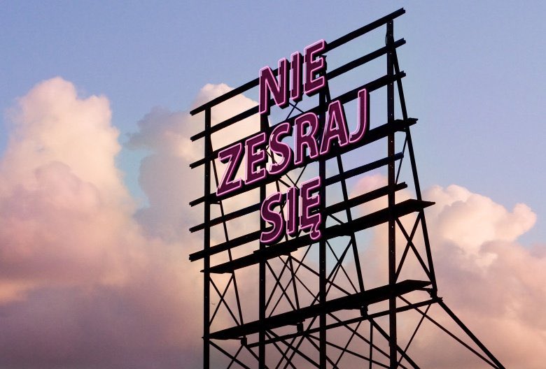 Anna Kostro 🐺 🇵🇱 #MuremZaNiepodlegląPolską 🇵🇱 tweet media