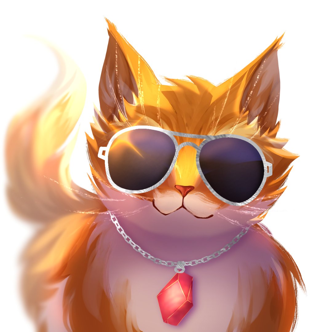 Orange Cat 🐱 tweet media